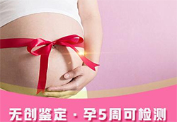 南昌父亲和肚中胎儿要如何办理血缘检测，南昌无创孕期亲子鉴定办理费用